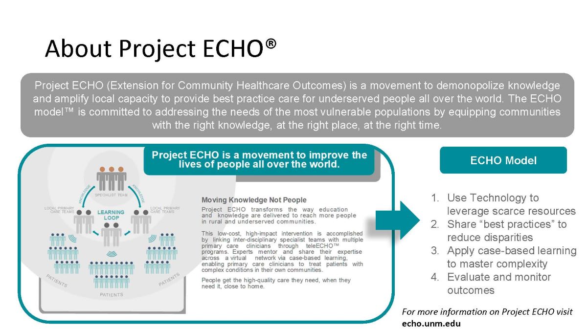 about project ECHO model see above